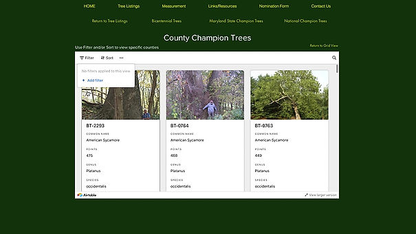 Champion Trees Gallery Views